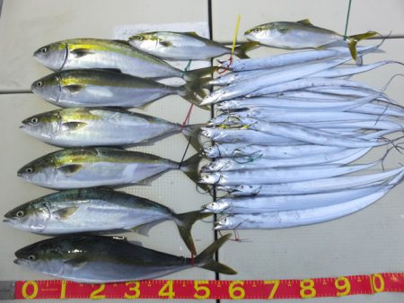 Hit Rush(ヒット ラッシュ） 釣果…