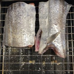 釣船 浦島太郎 釣果