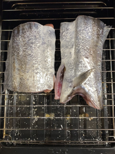 釣船 浦島太郎 釣果