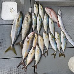 sea boss シーボス 釣果