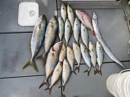 sea boss シーボス 釣果