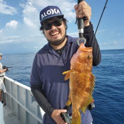 ブルーピア 釣果