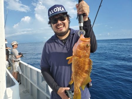 ブルーピア 釣果