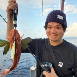 ブルーピア 釣果