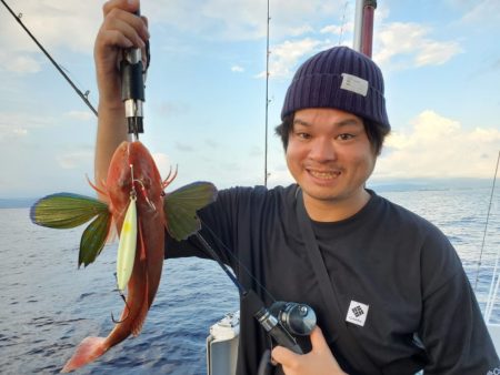 ブルーピア 釣果