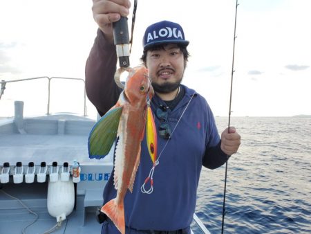 ブルーピア 釣果