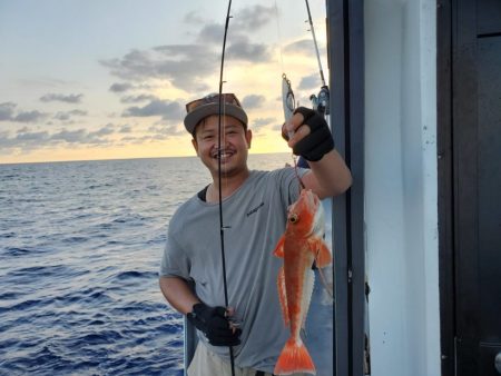 ブルーピア 釣果