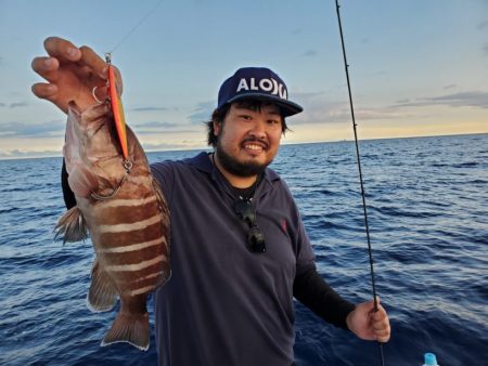 ブルーピア 釣果