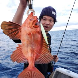 ブルーピア 釣果