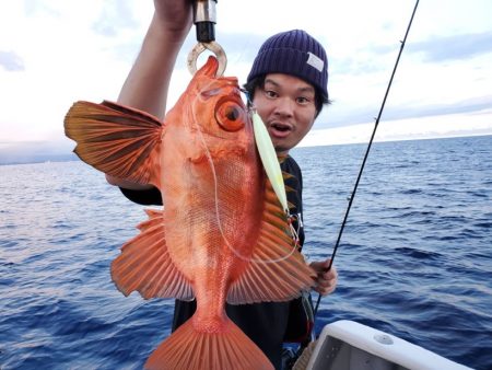ブルーピア 釣果