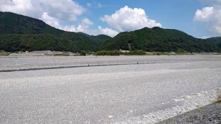 大井川(大井川(非)漁業協同組合) 釣果