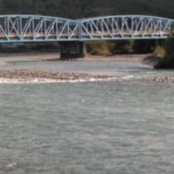 大井川(大井川(非)漁業協同組合) 釣果