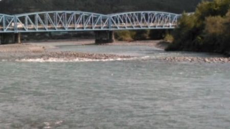 大井川(大井川(非)漁業協同組合) 釣果