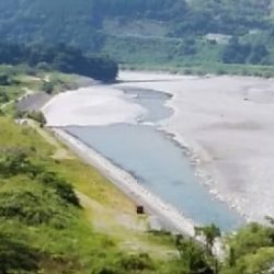 大井川(大井川(非)漁業協同組合) 釣果