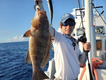 ブルーピア 釣果