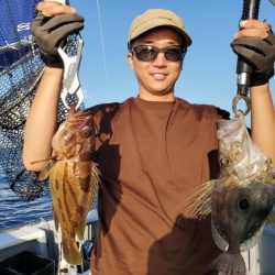 ブルーピア 釣果