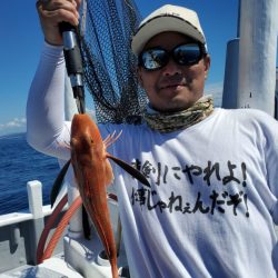 ブルーピア 釣果