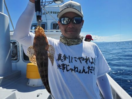 ブルーピア 釣果