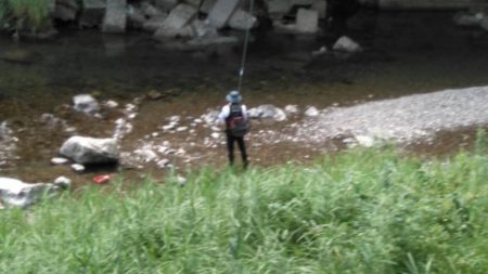 大井川（大井川(非)漁業協同組合） 釣果