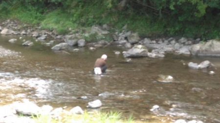 大井川(大井川(非)漁業協同組合) 釣果