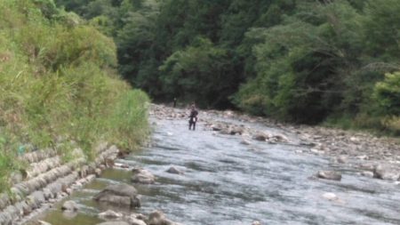 大井川(大井川(非)漁業協同組合) 釣果