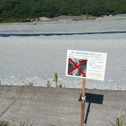 大井川(大井川(非)漁業協同組合) 釣果