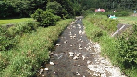 大井川(大井川(非)漁業協同組合) 釣果