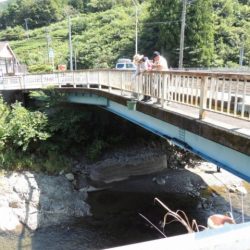 大井川(大井川(非)漁業協同組合) 釣果