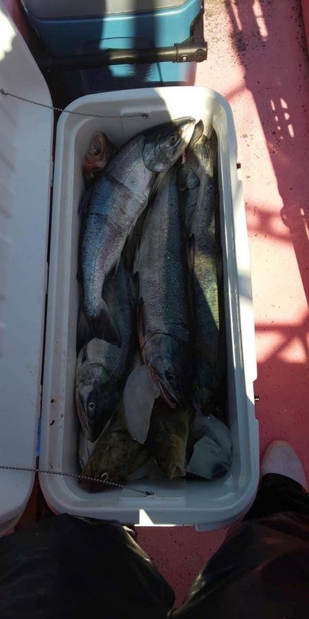 第八平成丸 釣果