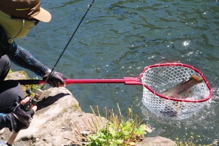 小菅トラウトガーデン 釣果