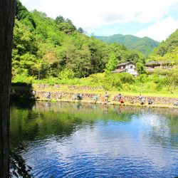 小菅トラウトガーデン 釣果