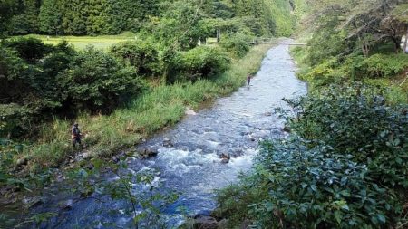 大井川(大井川(非)漁業協同組合) 釣果