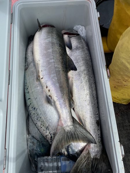 第八平成丸 釣果