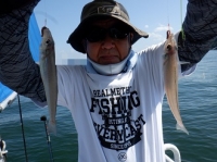 遊漁船 幸友丸 釣果