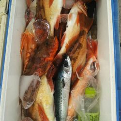 モンロー号 釣果