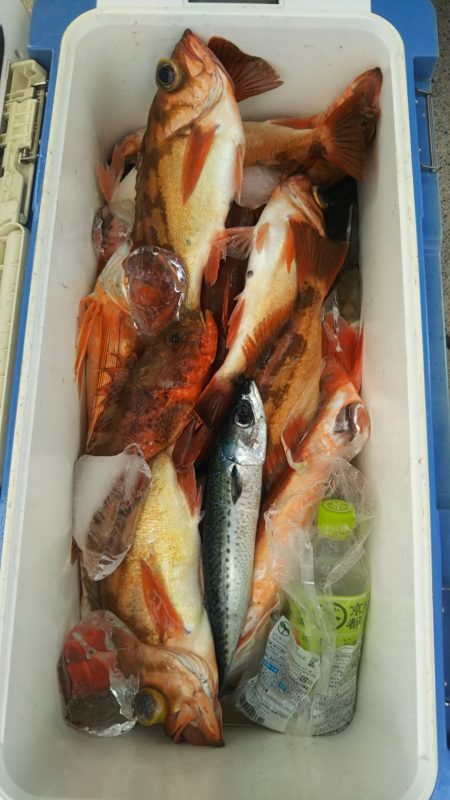 モンロー号 釣果