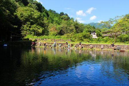 小菅トラウトガーデン 釣果
