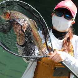 小菅トラウトガーデン 釣果
