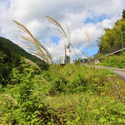 小菅トラウトガーデン 釣果