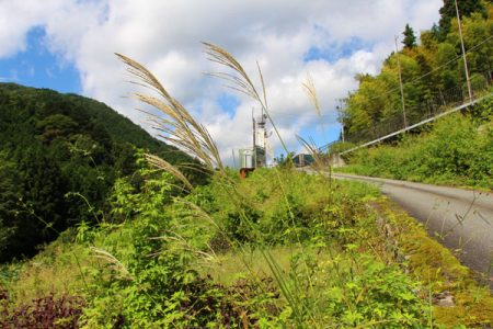 小菅トラウトガーデン 釣果