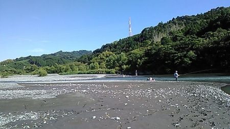 大井川（大井川(非)漁業協同組合） 釣果