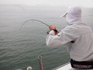 遊漁船 幸友丸 釣果