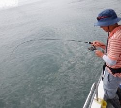 遊漁船 幸友丸 釣果