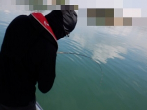 遊漁船 幸友丸 釣果