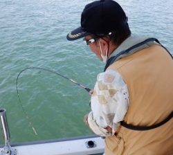 遊漁船 幸友丸 釣果