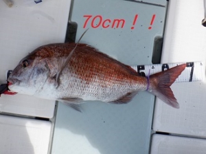 遊漁船 幸友丸 釣果