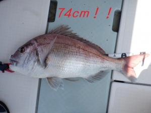 遊漁船 幸友丸 釣果