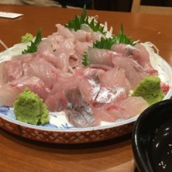 大宝丸 釣果