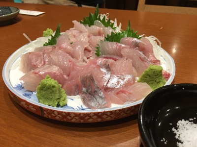 大宝丸 釣果