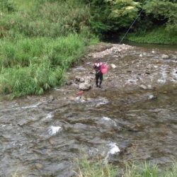 大井川(大井川(非)漁業協同組合) 釣果